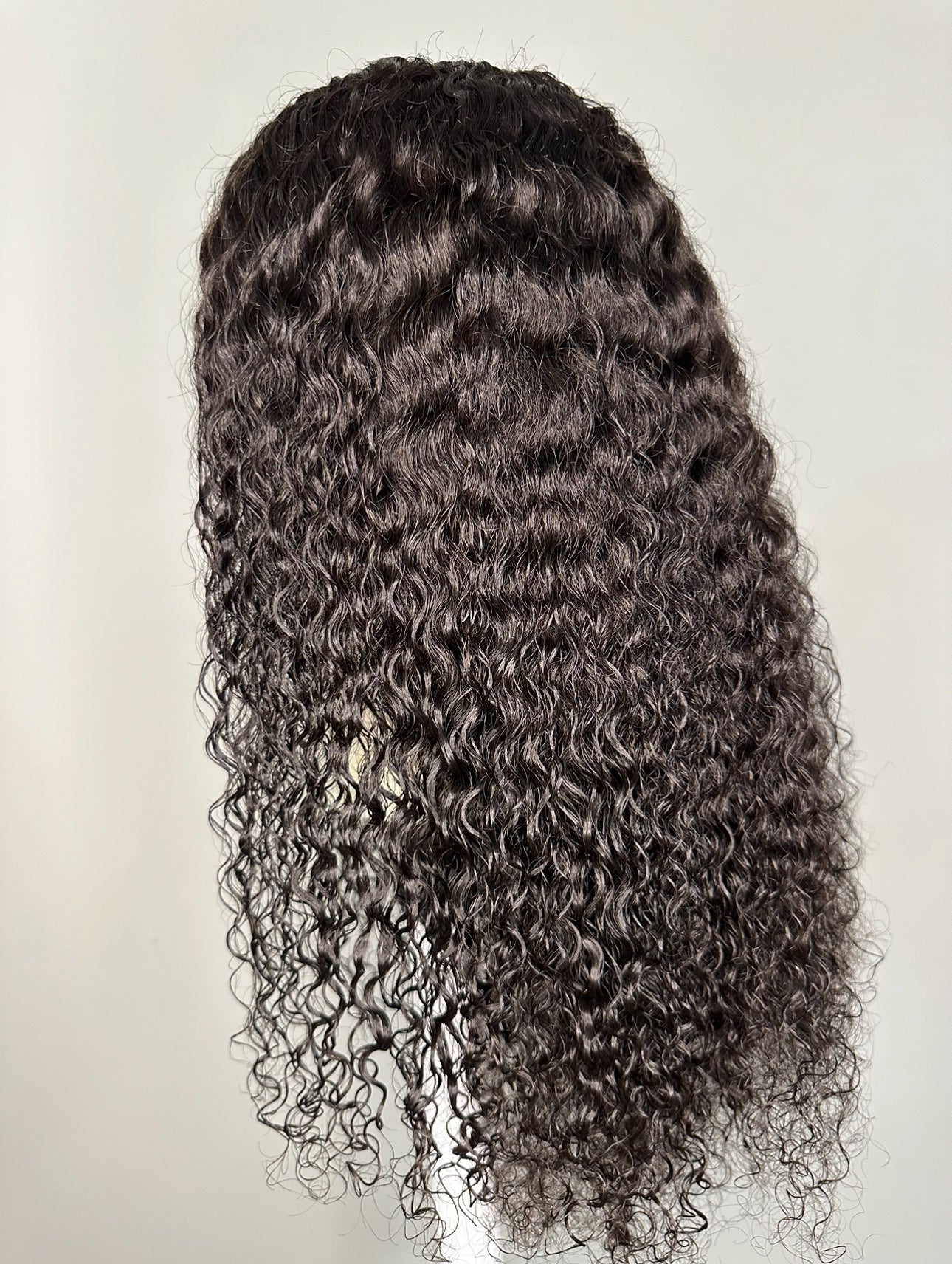 WIG 1 | 22'  13X4 LACE FRONT CURLY